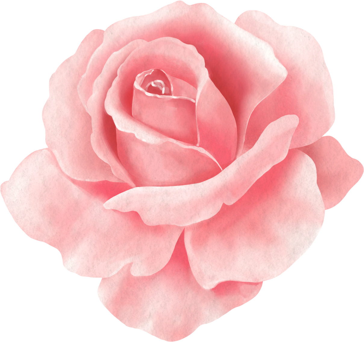 Watercolor Pink Rose